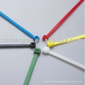 2.5*100mm self-locking nylon cable ties